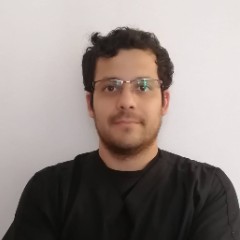 Esteban Andres Correa Arias