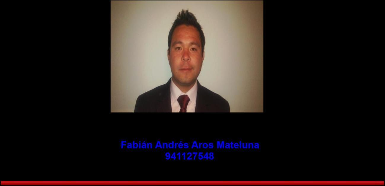 Fabian Andres Aros Mateluna